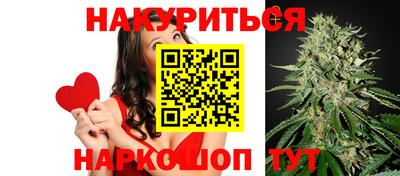 гашик Кулебаки