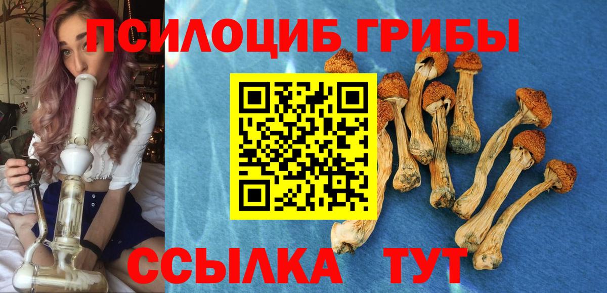 Псилоцибиновые грибы GOLDEN TEACHER  Псилоцибиновые грибы Cubensis  Вход с VPN  Елизово 